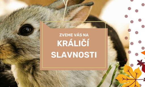 AKTUALITY úvodní obrazek.png