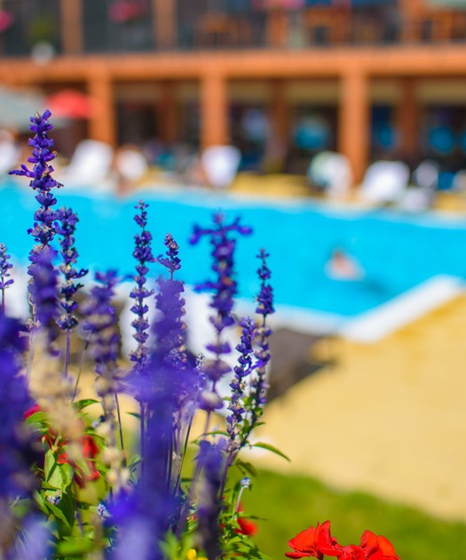 Zahájení letních prázdnin