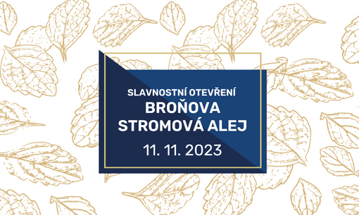 Broňova alej (2).png