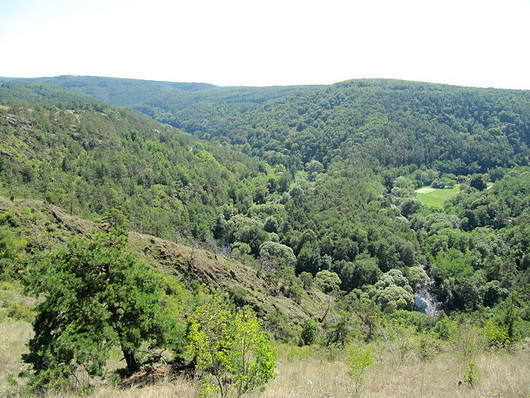 Mohelno Serpentine Steppe