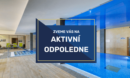 úvodní obrazek (11).png