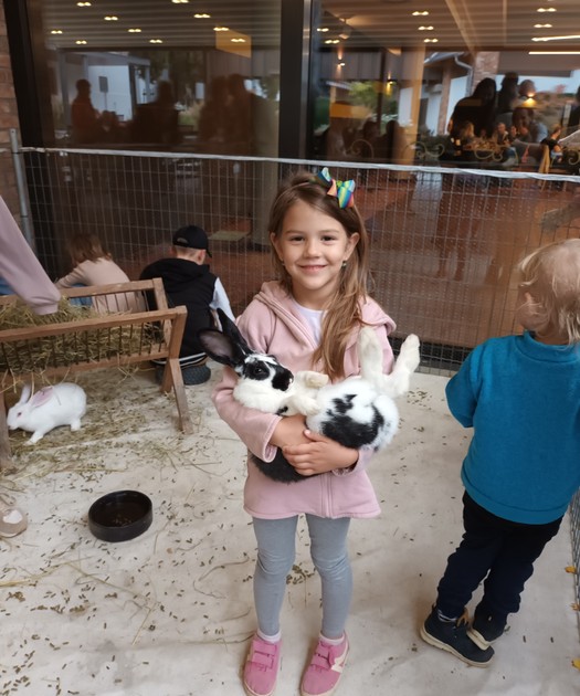 Rabbit festivities