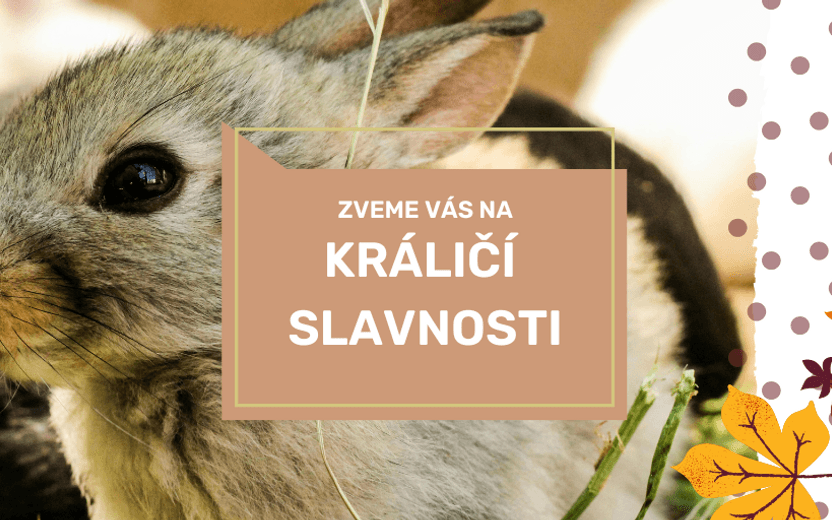 Králičí slavnosti 11.10.2025