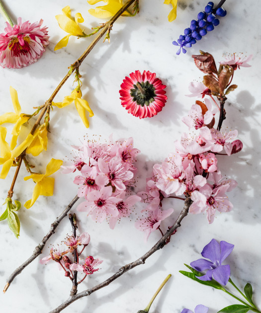 Spring for families with 20% discount - luxury apartments Superior