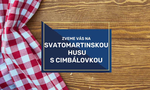 Svatomartinská husa (2).png